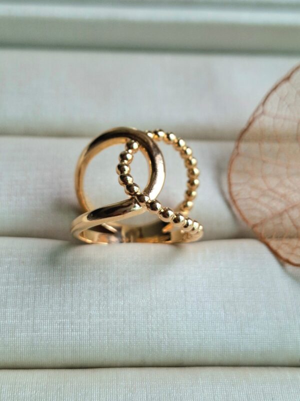 Anel Enlace - Imagem 2