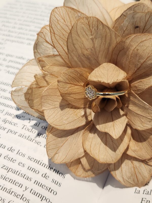 Anel Geane - Imagem 3